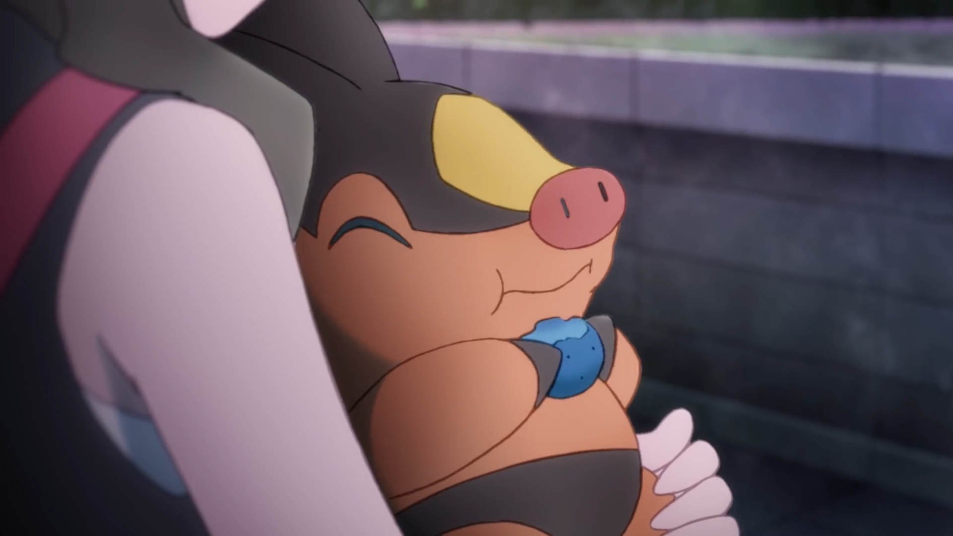 a screenshot of Tepig from Pokémon Evolutions' Episode The Plan, in which Tepig, a small cartoon pig with a red and black color scheme, is comfortably held in its trainer's arms while eating a small blue berry