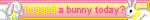 have you hugged a bunny today